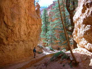 Bryce Canyon -- narrow canyon in Navajo loop