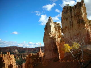 Bryce Canyon -- Navajo loop