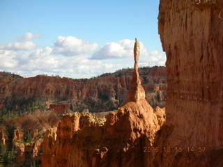 Bryce Canyon S-shaped tree