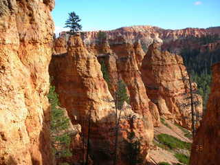 Bryce Canyon -- Navajo loop