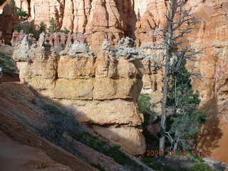 Bryce Canyon -- Navajo loop