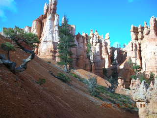 Bryce Canyon -- Queen's Garden trail