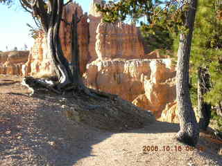 Bryce Canyon -- rim trail