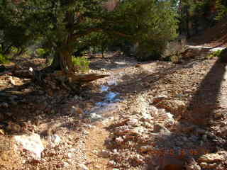 Bryce Canyon -- Fairyland Trail -- Adam