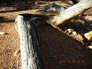 Bryce Canyon -- Fairyland Trail