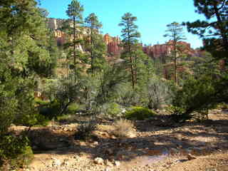 Bryce Canyon -- Fairyland Trail -- Adam