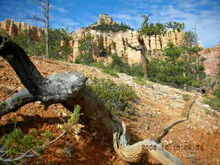 Bryce Canyon -- Fairyland Trail