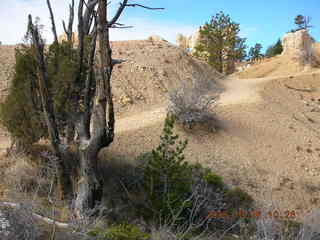 Bryce Canyon -- Fairyland Trail