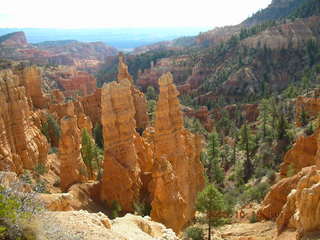 Bryce Canyon -- Fairyland Garden