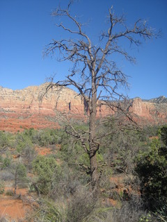 Christoph G. picture Sedona