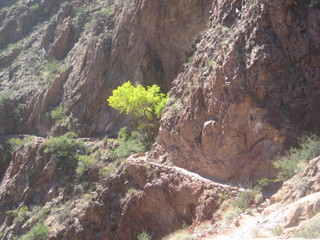 Christoph G. picture -- Grand Canyon