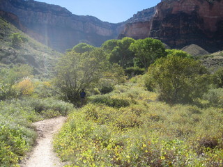 Christoph G. picture -- Grand Canyon