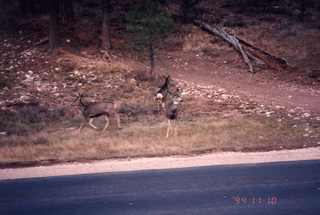 oldfamilyphoto -- Bryce/Zion trip