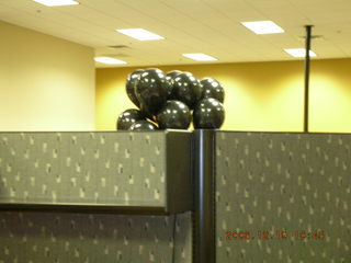 256 60k. Happy 50th birthday black balloons over the wall