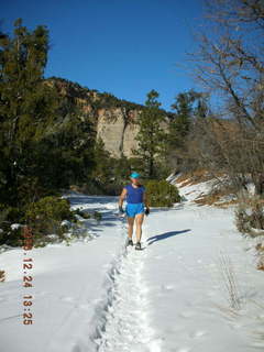 Zion National Park -- east rim trail -- Adam