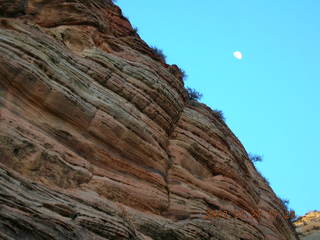 Zion National Park - Observation Point hike - half moon