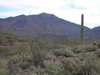 Cave Creek hike