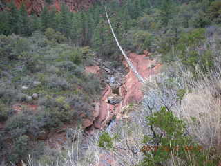 Sedona -- Secret Canyon hike -- Manzanita tree