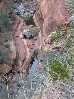 Sedona -- Secret Canyon hike -- Manzanita tree