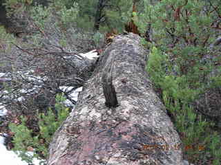 Sedona -- Secret Canyon hike