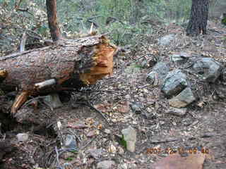 Sedona -- Secret Canyon hike