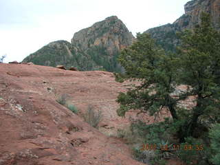 Sedona -- Secret Canyon hike -- old, cut tree -- Jim