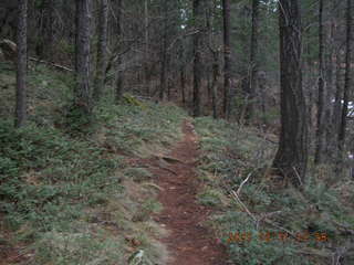 Sedona -- Secret Canyon hike -- even-more-secret arch