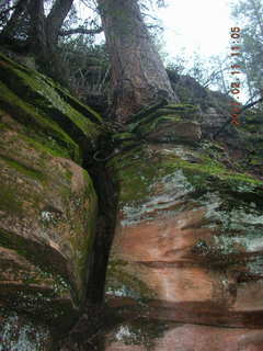 Sedona -- Secret Canyon hike