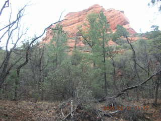 Sedona -- Secret Canyon hike