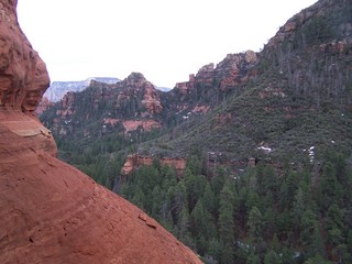 Sedona -- Secret Canyon hike