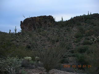2235 62j. Cave Creek hike -- Turkey rock