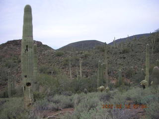 2242 62j. Cave Creek hike