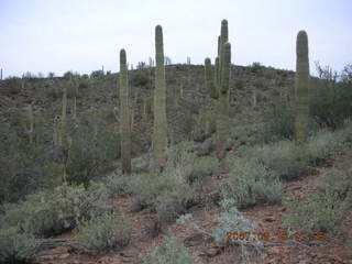 2245 62j. Cave Creek hike