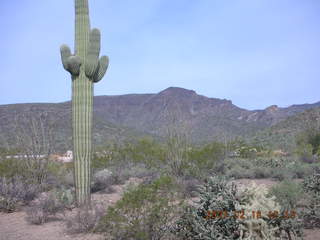 2258 62j. Cave Creek run