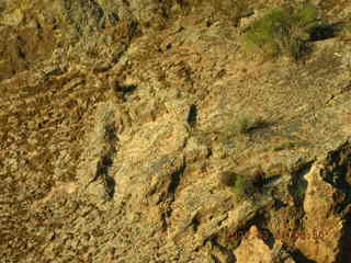 Salt River rafting trip