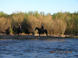 Salt River rafting trip - horses with riders
