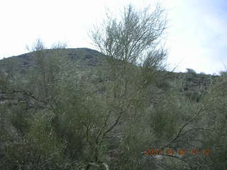 Quartz Trail at Lost Dog Wash