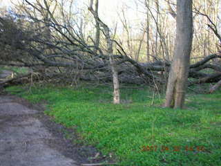 Tookany Creek Park - blocked path