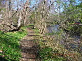 Tookany Creek