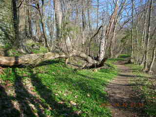 Tookany Creek