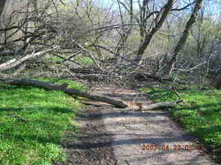 Tookany Creek Park - blocked path