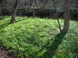 Tookany Creek Park - blocked path