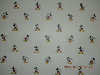 Birds' Mickey Mouse wallpaper