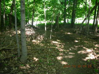 Carver Park trail