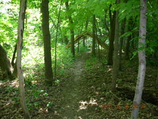 Carver Park trail