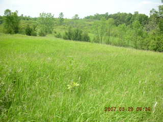 Carver Park trail