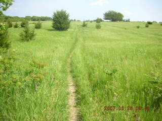 Carver Park trail