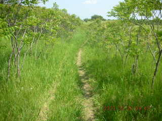 Carver Park trail - George taking a picture