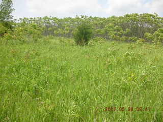 Carver Park trail