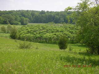 Carver Park trail